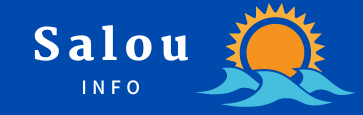 salouinfo.com logo